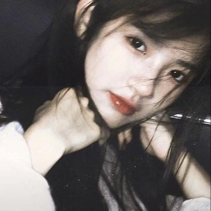 狐狸女士第二季